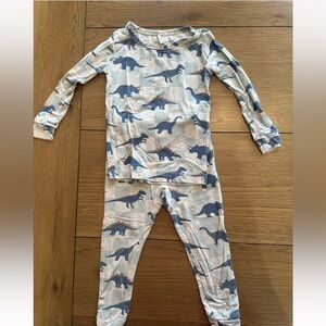 Dinosaur Print Kids Bamboo Pajama set